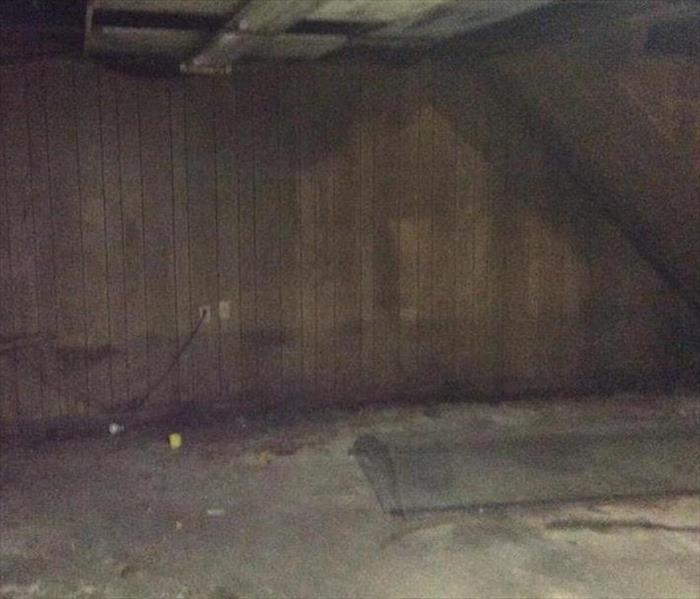 Dark, moldy commercial basement