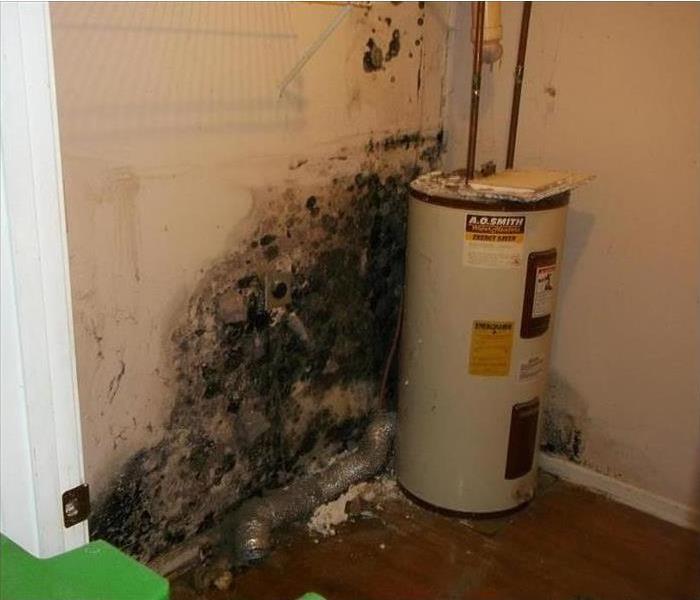 Very moldy and dirty wall behind water heater