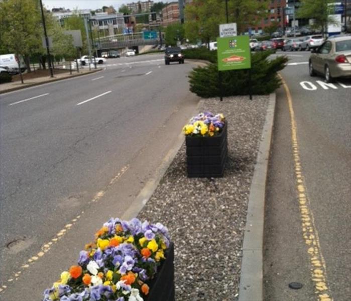 traffic island with SERVPRO sign and spring flowers