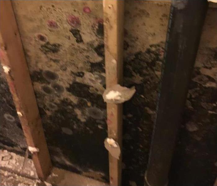 Mold Found inside of wall